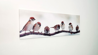 Wandbild mit Rahmen Vögel